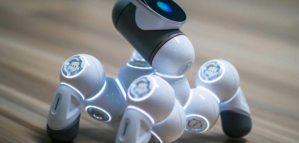 pexels-kindelmedia-8982665