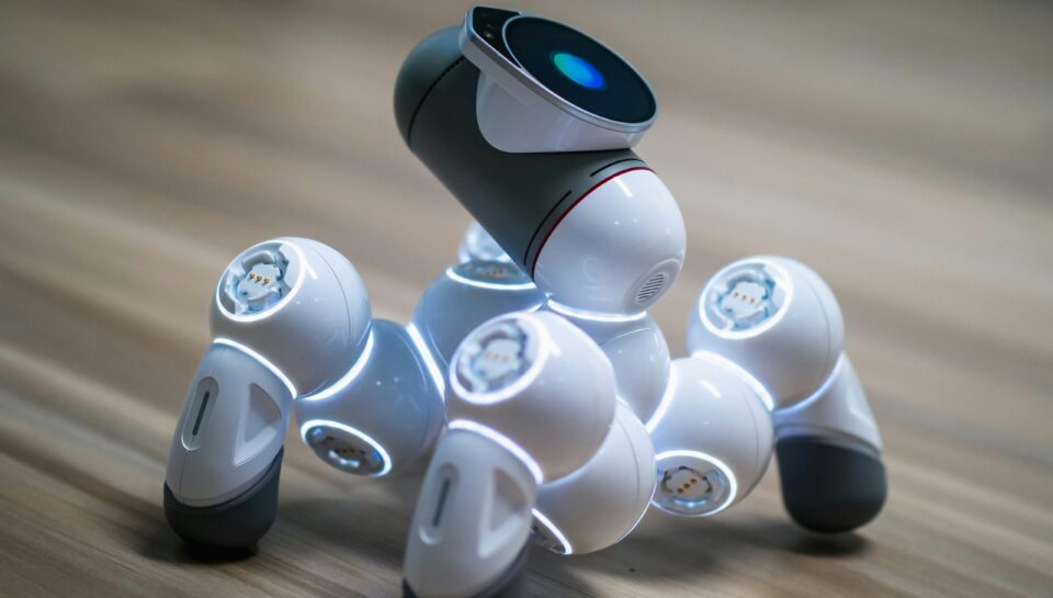 pexels-kindelmedia-8982665 pexels-kindelmedia-8982665